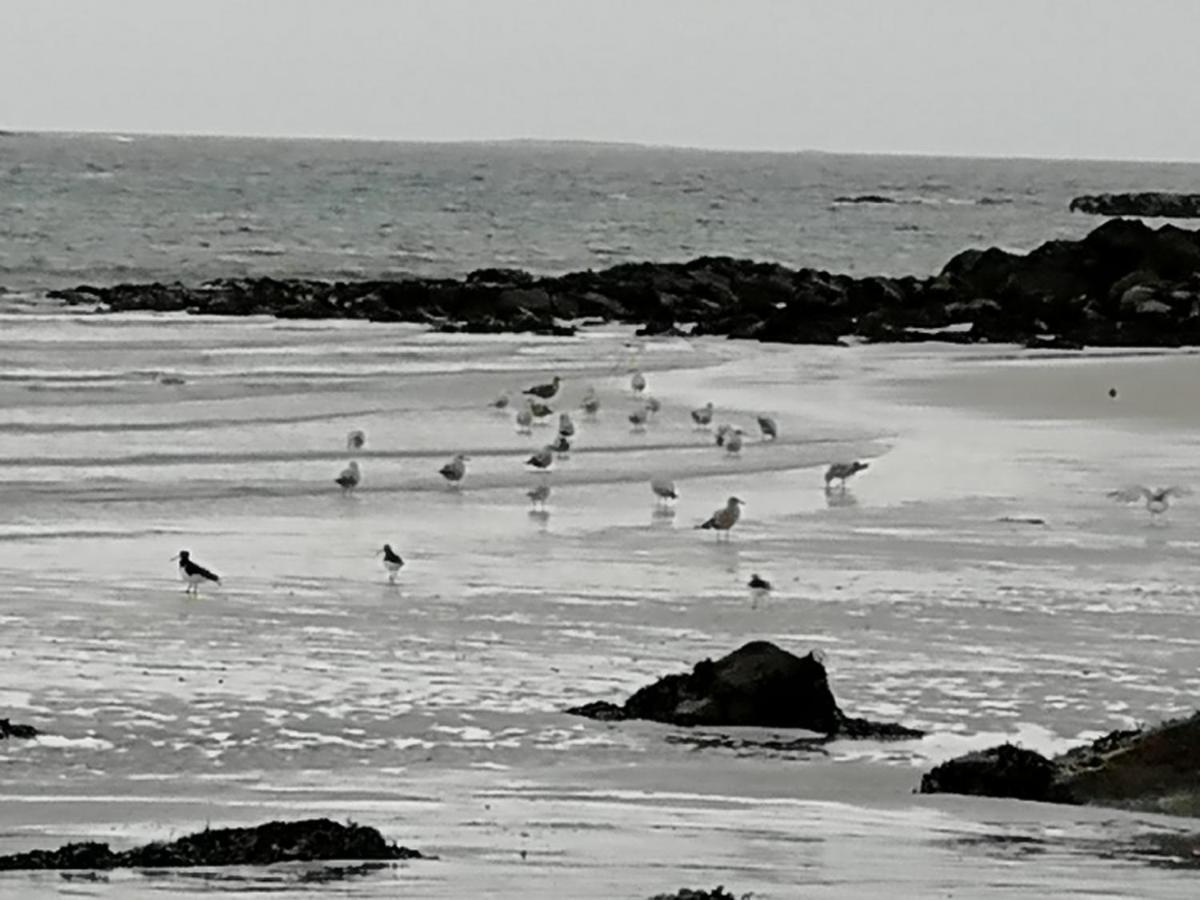 The Fisherman'S Snug Self Catering North Uist Paible Екстер'єр фото
