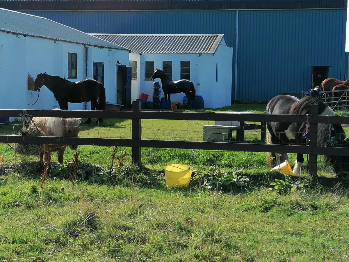 The Fisherman'S Snug Self Catering North Uist Paible Екстер'єр фото