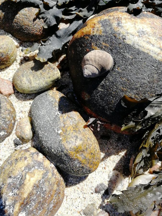 The Fisherman'S Snug Self Catering North Uist Paible Екстер'єр фото