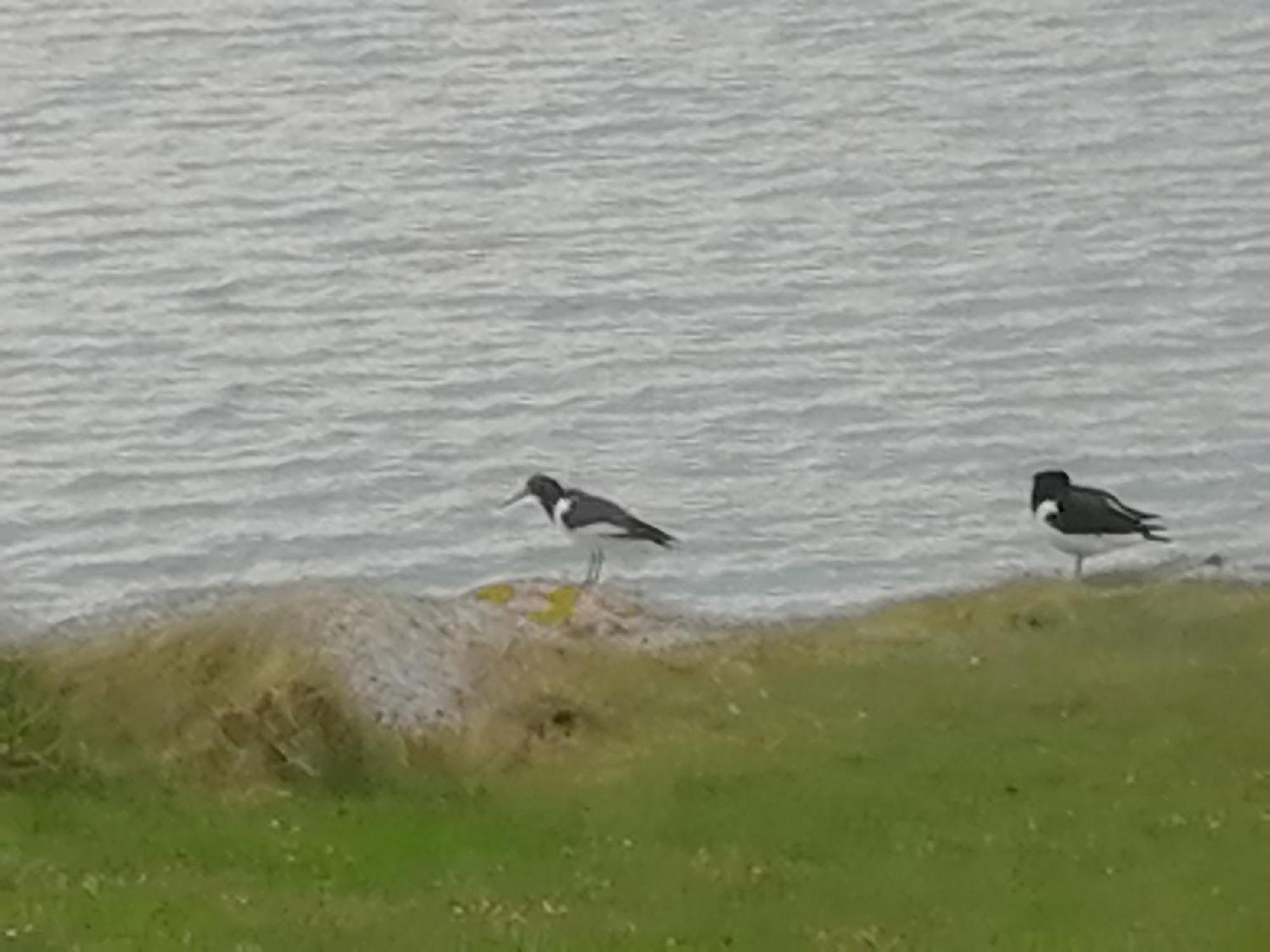 The Fisherman'S Snug Self Catering North Uist Paible Екстер'єр фото