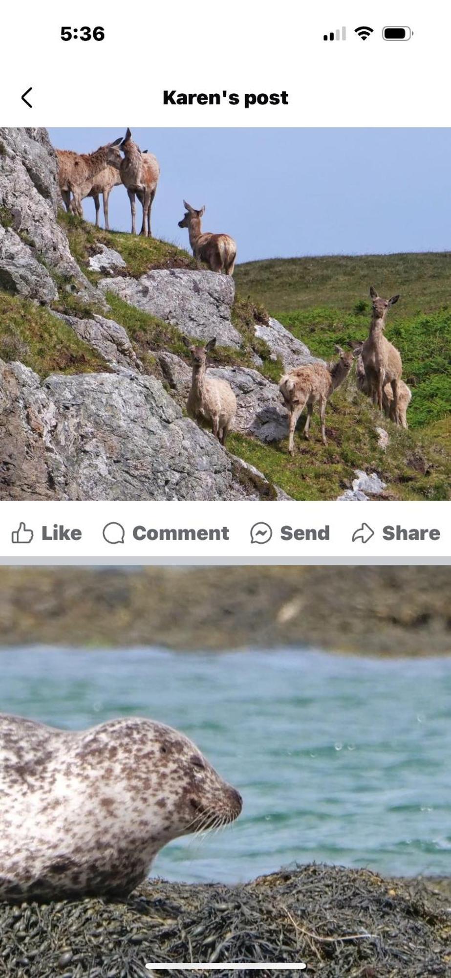 The Fisherman'S Snug Self Catering North Uist Paible Екстер'єр фото